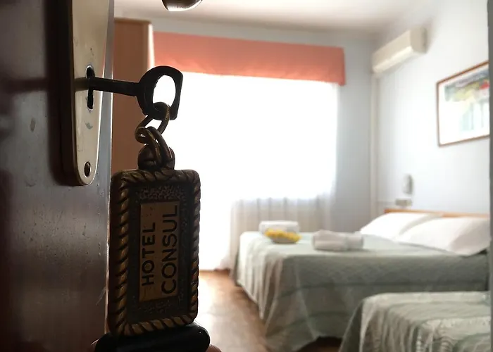 Hotel Consul